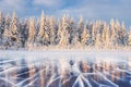 Blue ice and cracks on the surface of the ice. Frozen lake under a blue sky in the winter. The hills of pines. Winter Royalty Free Stock Photo