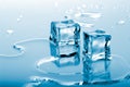Blue ice cubes Royalty Free Stock Photo