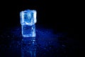 Blue ice cubes reflection on black table background Royalty Free Stock Photo