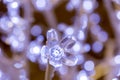 Blue ice flower among bokeh winter crystal lights