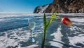 On the blue ice of a frozen lake there is a wine glass with champagne and a red tulip.