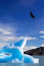 Blue iceberg Royalty Free Stock Photo