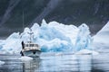 Blue Icebergs in Greenland