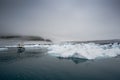 Blue Icebergs in Greenland Royalty Free Stock Photo