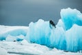 Blue icebergs in Jokulsarlon glacial lagoon, South Iceland Royalty Free Stock Photo