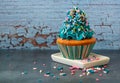 Blue iced cupcake with sprinkles on a white plate Royalty Free Stock Photo
