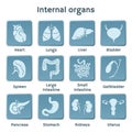 Blue infographic icon set with internal organs Royalty Free Stock Photo