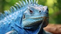 Blue Iguana closeup head, Blue Iguana, Grand Cayman Blue Iguana, blurred background. generative ai Royalty Free Stock Photo