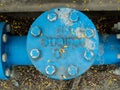 Blue industrial pipeline strainer