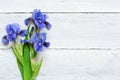 Blue iris flowers over white wooden background Royalty Free Stock Photo