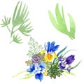 Blue irises bouquet floral botanical flowers. Watercolor background set. Isolated bouquet illustration element.