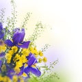Blue irises with yellow daisies Royalty Free Stock Photo