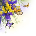 Blue irises Royalty Free Stock Photo