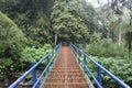 Blue iron bridge in the middle of the forest Royalty Free Stock Photo