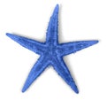 Blue starfish isolated on white background Royalty Free Stock Photo