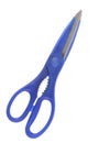 Blue itchen scissors