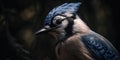 Blue Jay bird closeup with forest background. Generative AI Royalty Free Stock Photo