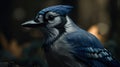 Blue Jay bird closeup with forest background. Generative AI Royalty Free Stock Photo