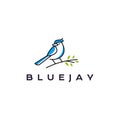 Blue jay bird logo design vector illustration Royalty Free Stock Photo