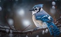Blue jay bird perched in a tree on a branch in snow weather in winter generative AI Royalty Free Stock Photo