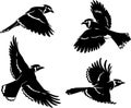 Blue Jay Bird Set Silhouette