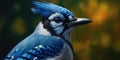 Blue jay on a branch. Bird in the forest. Ornithology. Generative AI Royalty Free Stock Photo