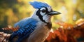 Blue jay on a branch. Bird in the forest. Ornithology. Generative AI Royalty Free Stock Photo