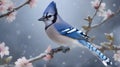 Blue Jay on a branch of a blossoming tree in winter Royalty Free Stock Photo