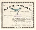 1896 THE BLUE JAY MINING COMPANY Stock Certificate - Cripple Creek, Colorado