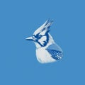 Minimalist Blue Jay Illustration On Blue Background Royalty Free Stock Photo