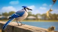 Blue Jay Perched On Old Pier: A Captivating Digital Surrealism Portrait