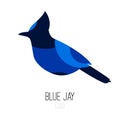 Blue Jay vector icon. Logo with bird. Flat design. Royalty Free Stock Photo