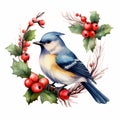 Blue Jay Watercolor Illustration With Holly Berries Royalty Free Stock Photo