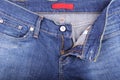 Blue jeans and fly Royalty Free Stock Photo