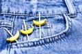 Blue jeans and yellow wooden bananas from a pocket on black background top view flat lay. Detail of nice blue jeans. Jeans texture Royalty Free Stock Photo