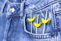 Blue jeans and yellow wooden bananas from a pocket on black background top view flat lay. Detail of nice blue jeans. Jeans texture Royalty Free Stock Photo