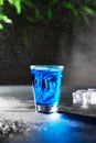 Blue jelly fish shot on the dark background surrounded by droplets