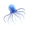 Blue Jellyfish, Beautiful Swimming Marine Underwater Creature Vector Illustration