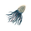 Blue jellyfish close up. Vector illustration on white background. Royalty Free Stock Photo