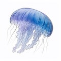 blue jellyfish isolated on the white background. Jellyfish floating in the water. generative ai Royalty Free Stock Photo