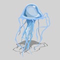 Blue jellyfish with long tentacles, isolated image Royalty Free Stock Photo