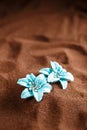 Blue jewellery flowers Royalty Free Stock Photo