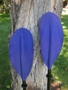 Blue Kayak Paddles