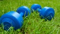 Blue 4kg dumbbells on green grass turf in backyard garden