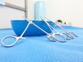 Blue Kidney Tray With Kocher Forceps Royalty Free Stock Photo