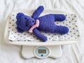 A blue knitted teddy bear lies on an electronic baby scale on a diaper with asterisks