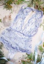 Blue lace bodysuit on the white background. Lace women& x27;s lingeri