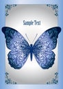 Blue lace butterfly Royalty Free Stock Photo