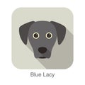 Blue lacy dog character, dog breed cartoon image series