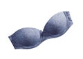 Blue lacy feminine bra on white